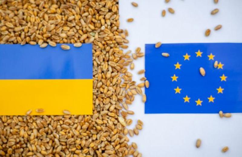 Обмеження українського експорту