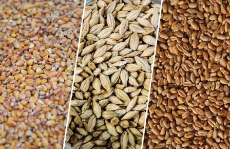 Україна оновила рекорд експорту зерна через
