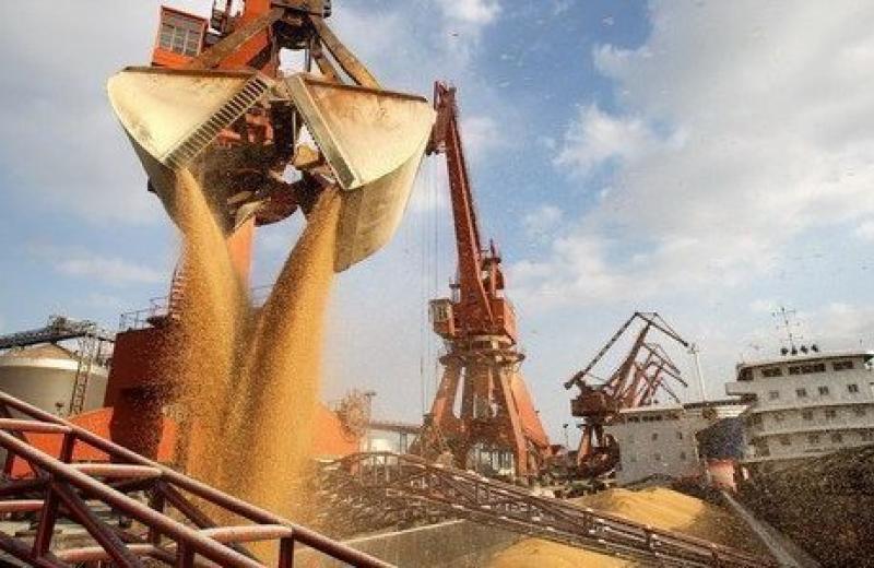 Ізраїльська компанія має докази «відмивання зерна», вкраденого російськими окупантами в Україні