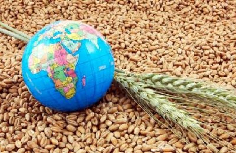 Світові ціни на продукти харчування впали до 10-місячного мінімуму