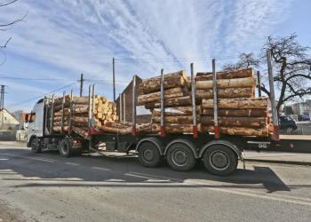 Брюссель готує антидемпінгові мита на російську деревину