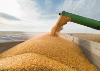 Темпи експорту зерна з України досягають довоєнного рівня