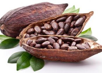 Дефіцит какао змінює стандарти для виробників шоколаду