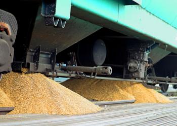 Казахстан забороняє імпорт зерна на свою територію, у тому числі з Росії