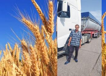 Чотири способи прискорити транзит українського зерна