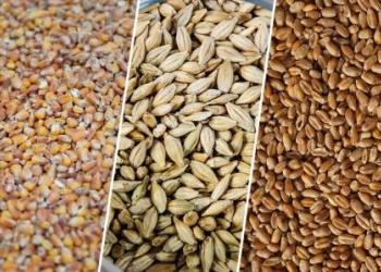 Україна оновила рекорд експорту зерна 