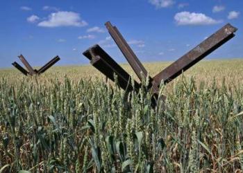 У Польщі назвали нереалістичними плани ЄС щодо перевезення Українського зерна