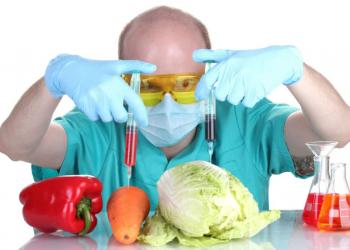 Італія планує заборонити виробництво та продаж синтетичних продуктів харчування