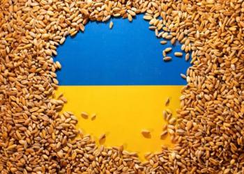 Франція допоможе збільшити експорт українського зерна через Румунію