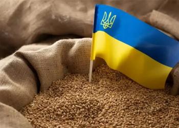 Євросоюз ретельніше контролюватиме імпорт зерна з України