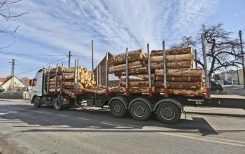 Брюссель готує антидемпінгові мита на російську деревину