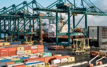 Порт Антверпена запроваджує цифрову платформу для обробки контейнерів