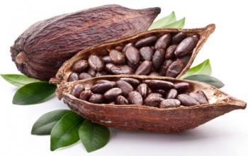 Дефіцит какао змінює стандарти для виробників шоколаду