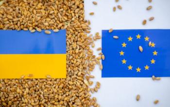 Польща хоче застосувати ліцензії до імпорту українського зерна