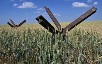 У Польщі назвали нереалістичними плани ЄС щодо перевезення Українського зерна