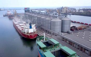 Перевантаження українського збіжжя забезпечило румунському порту Констанца рекордні показники
