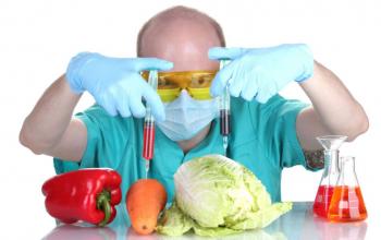 Італія планує заборонити виробництво та продаж синтетичних продуктів харчування