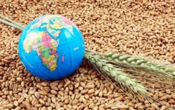 Світові ціни на продукти харчування впали до 10-місячного мінімуму