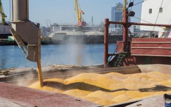 Компанія Lloyds погодилася застрахувати судна з зерном в українському морському коридорі