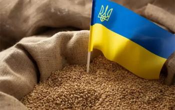 Євросоюз ретельніше контролюватиме імпорт зерна з України